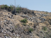 P3158218
