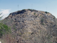 P3158219