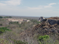 P3158225