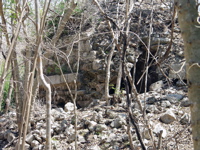 P3158247