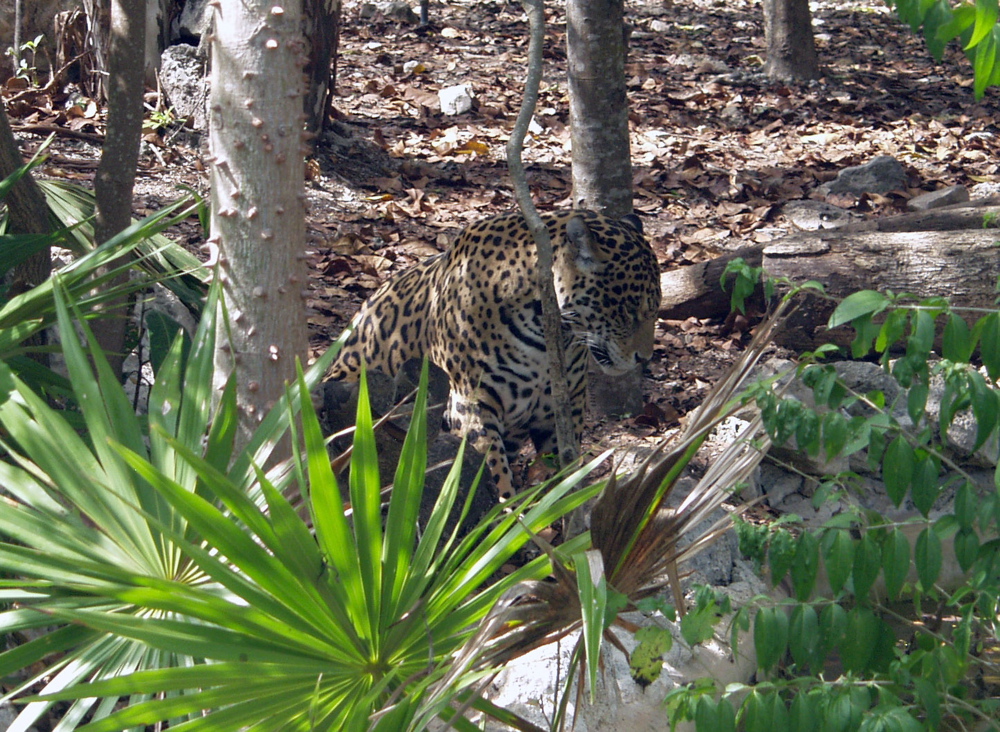 P3127808