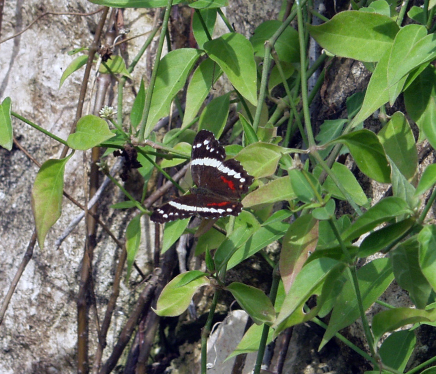 P3127816