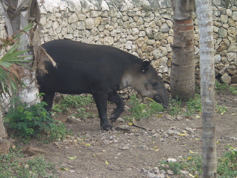 P3127825