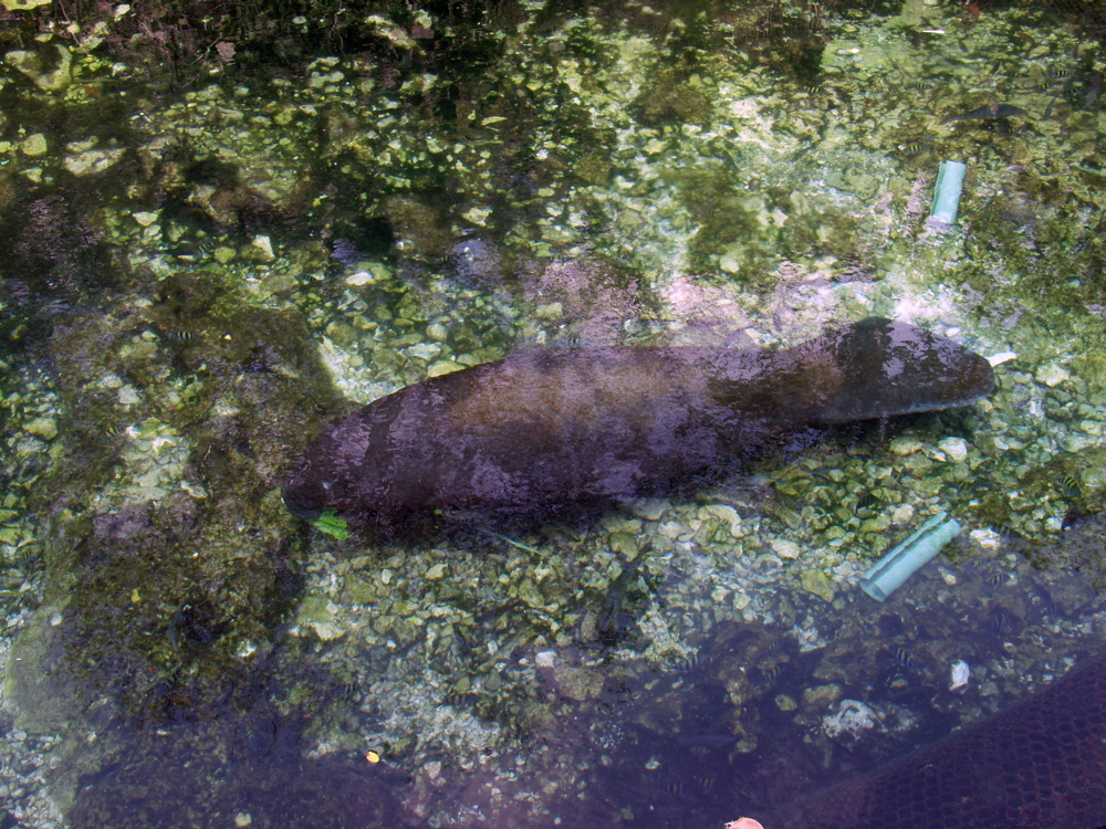 P3127779