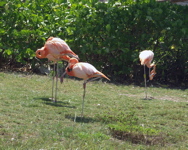 P3127788