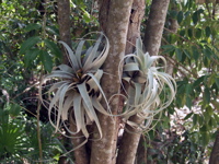 P3127789