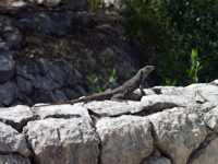 P3127799