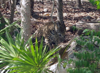 P3127808