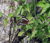 P3127816