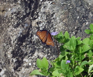 P3127817
