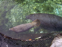 P3127797