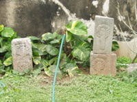 P3168324