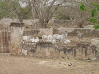P3168338