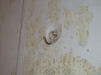 P3168309