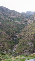 pan1