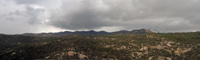 pan2