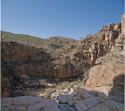 Milagrosa pan 5