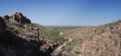 Milagrosa pan 2