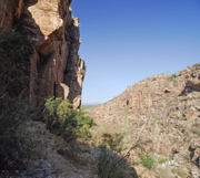 Milagrosa pan 3