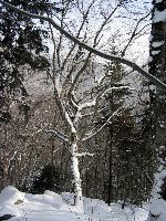 104_0490
