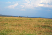 _DAE0786