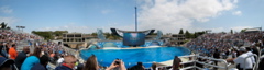 SD pan 1