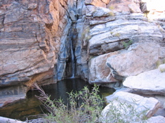 IMG_7563.JPG