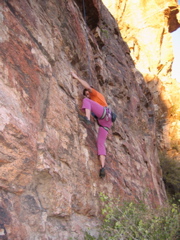 IMG_7593.JPG