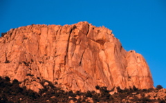 37