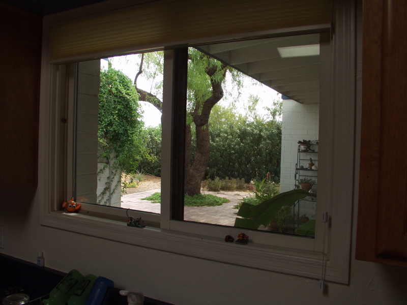 View from Kitchen