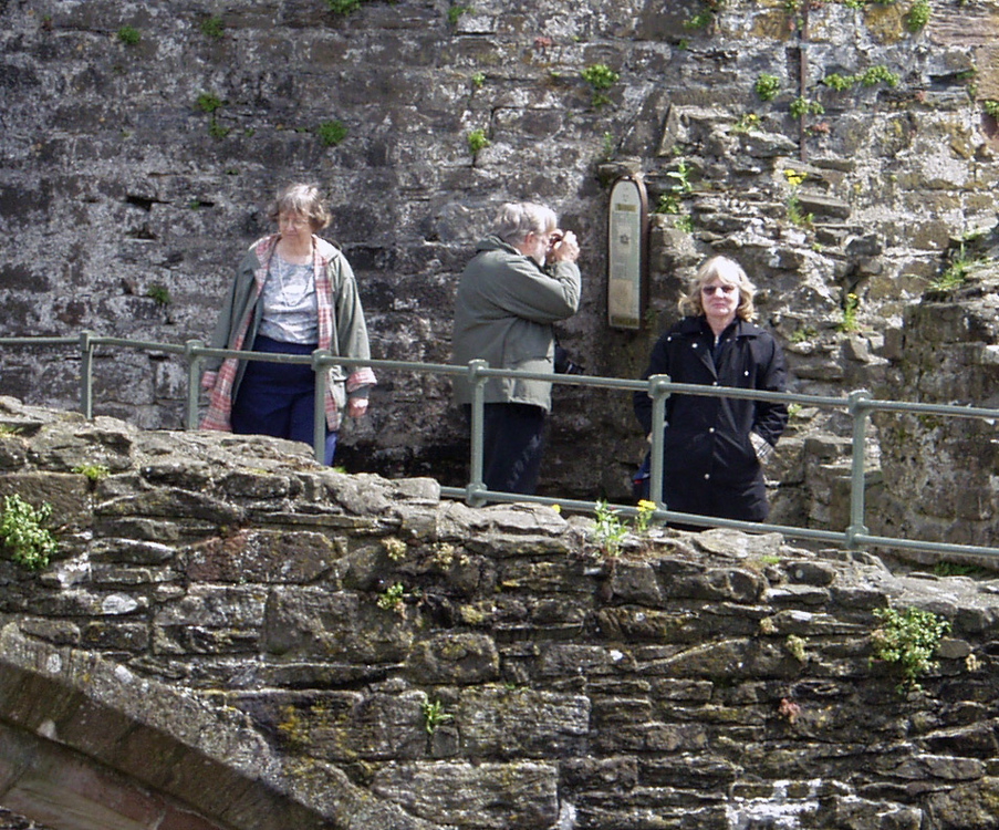 Conwy pan 3