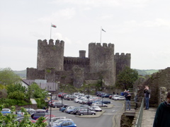P5259990