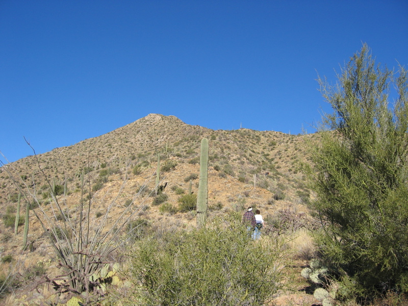 STA_6572.JPG
