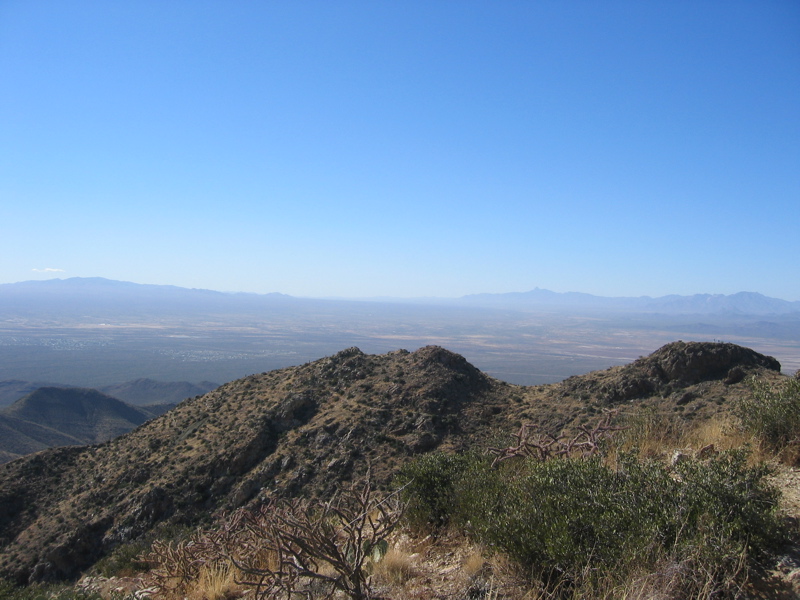 IMG_6582.JPG