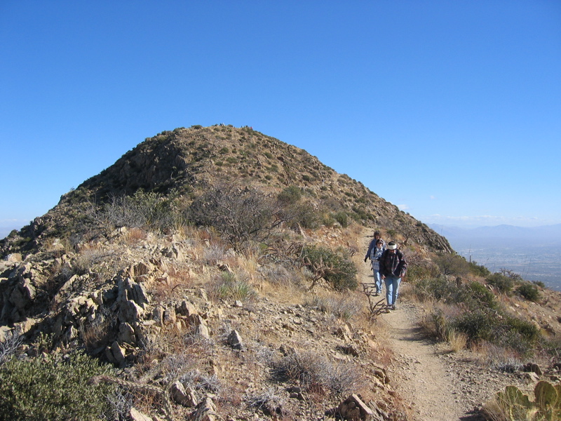 IMG_6586.JPG