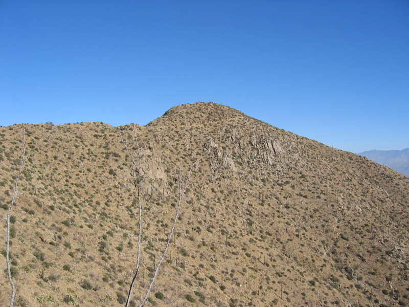 IMG_6594.JPG