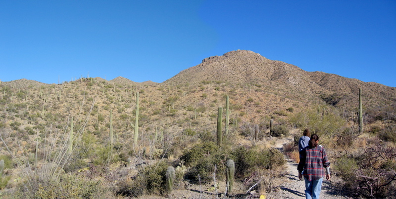 hike pan 1