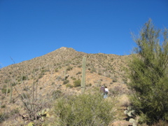 STA_6572.JPG