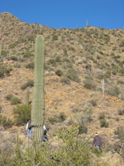IMG_6573.JPG