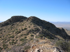 IMG_6589.JPG