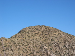 IMG_6593.JPG
