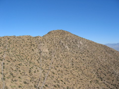 IMG_6594.JPG