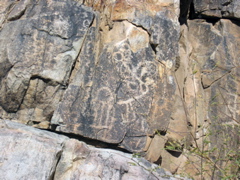 IMG_6595.JPG