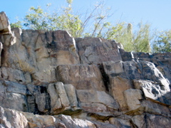 IMG_6598.JPG
