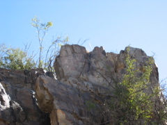 IMG_6599.JPG