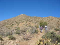 STB_6571.JPG