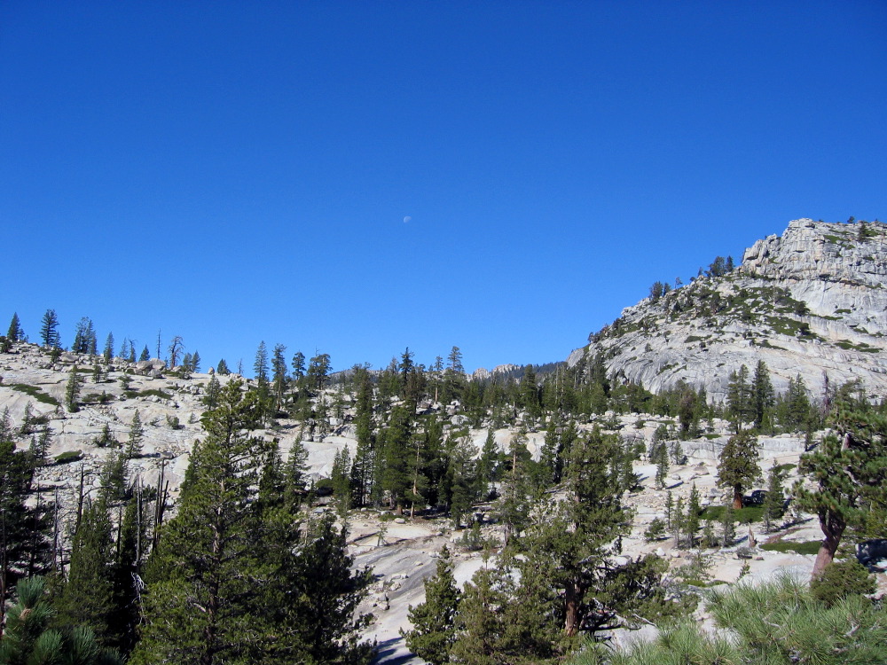 IMG_0356.JPG