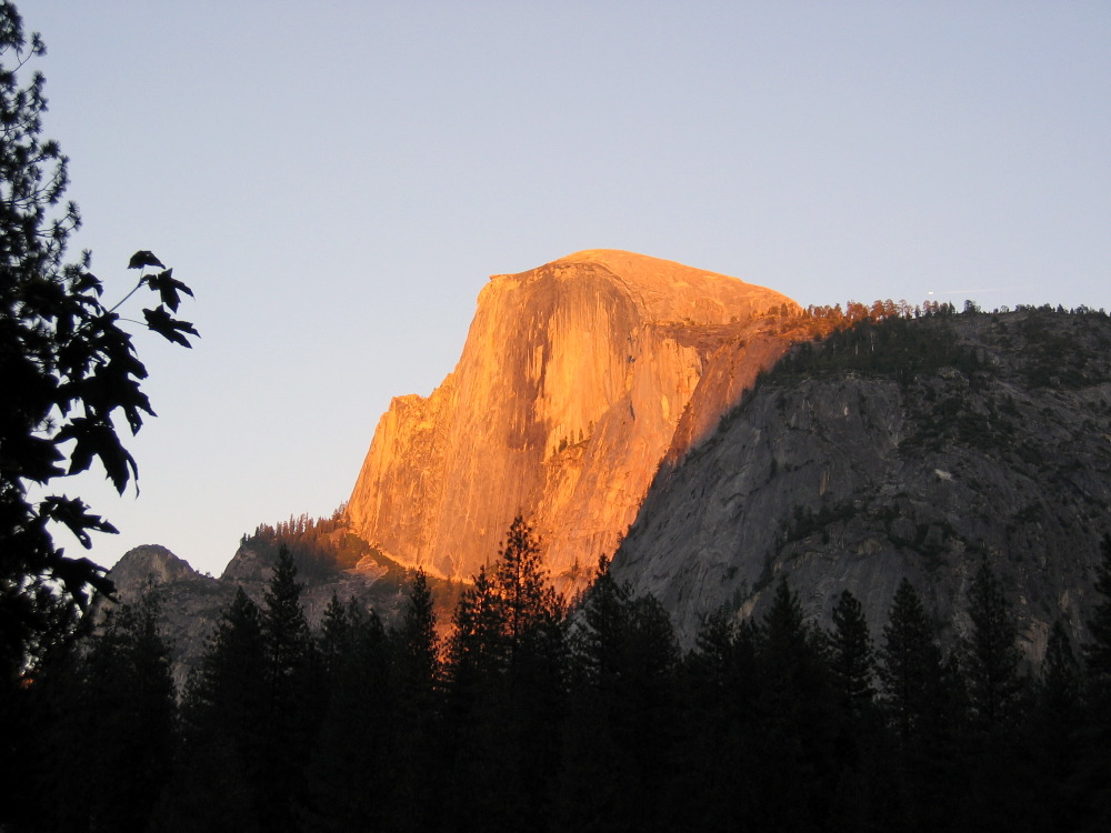 IMG_0370.JPG