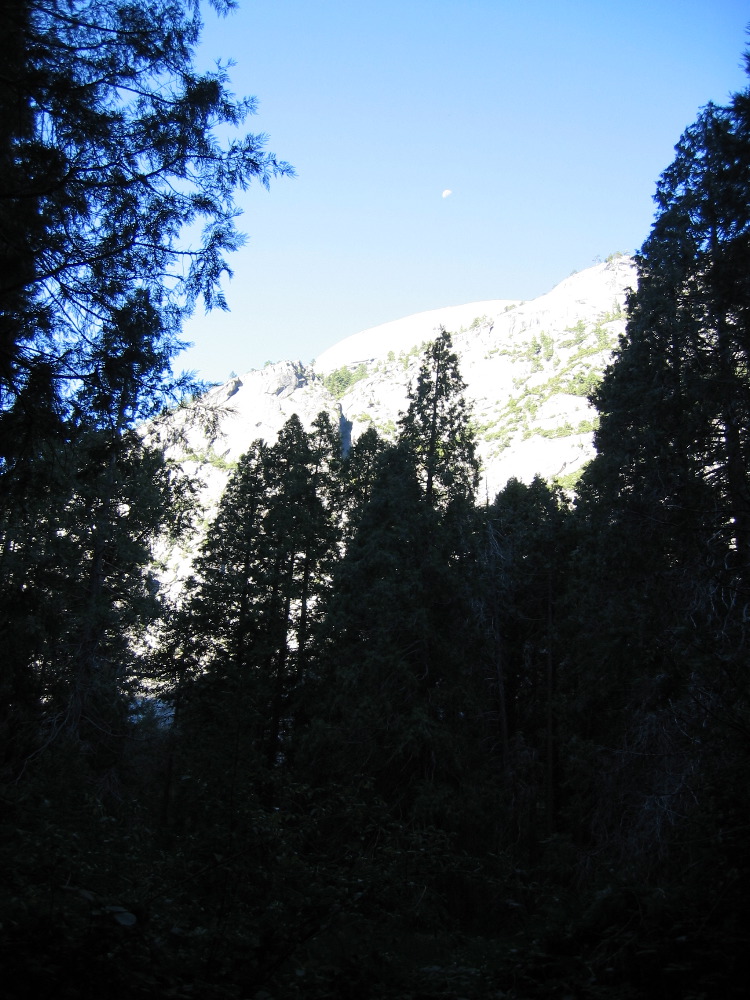 IMG_0378.JPG