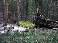 IMG_0338.JPG